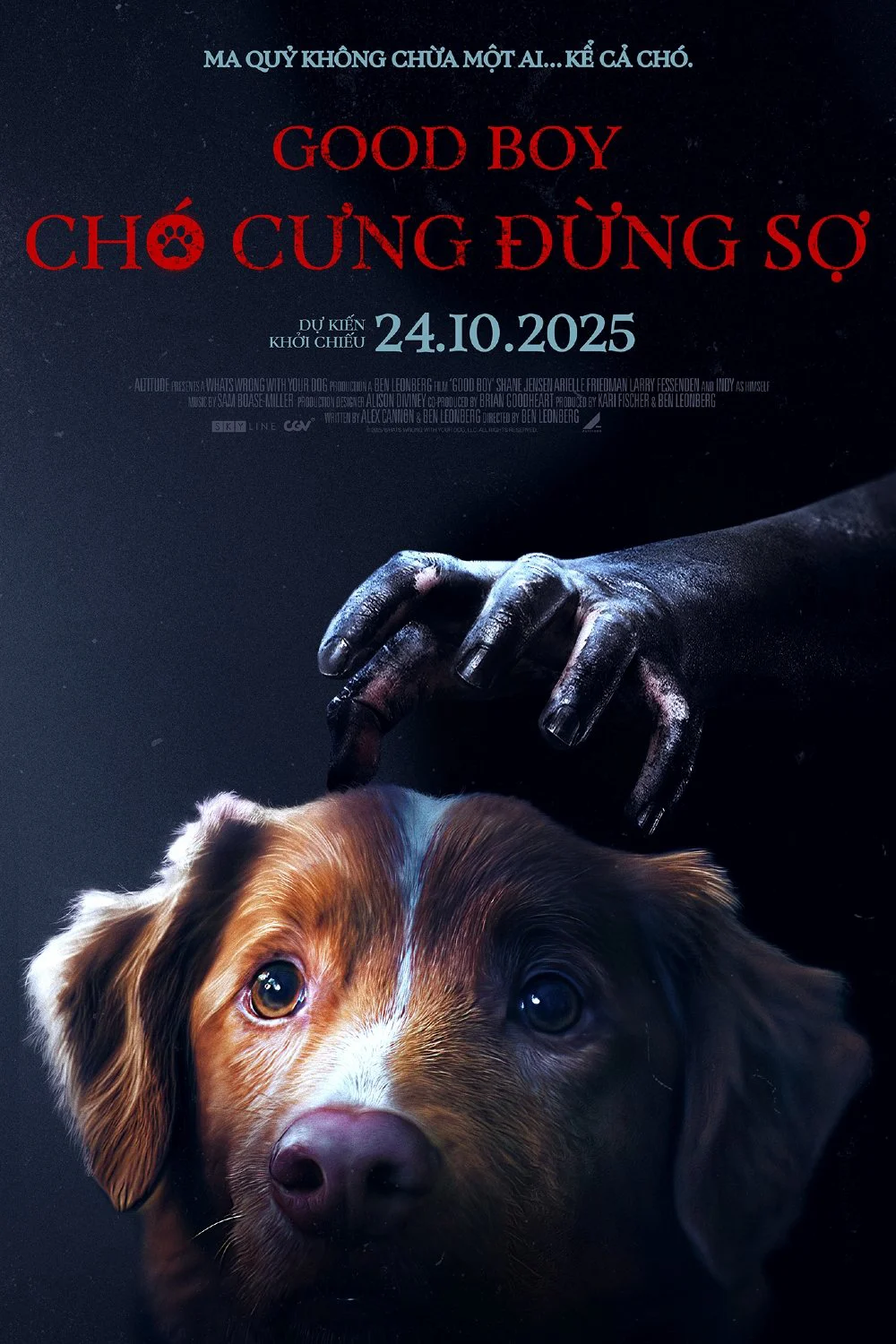 Chó Cưng Đừng Sợ